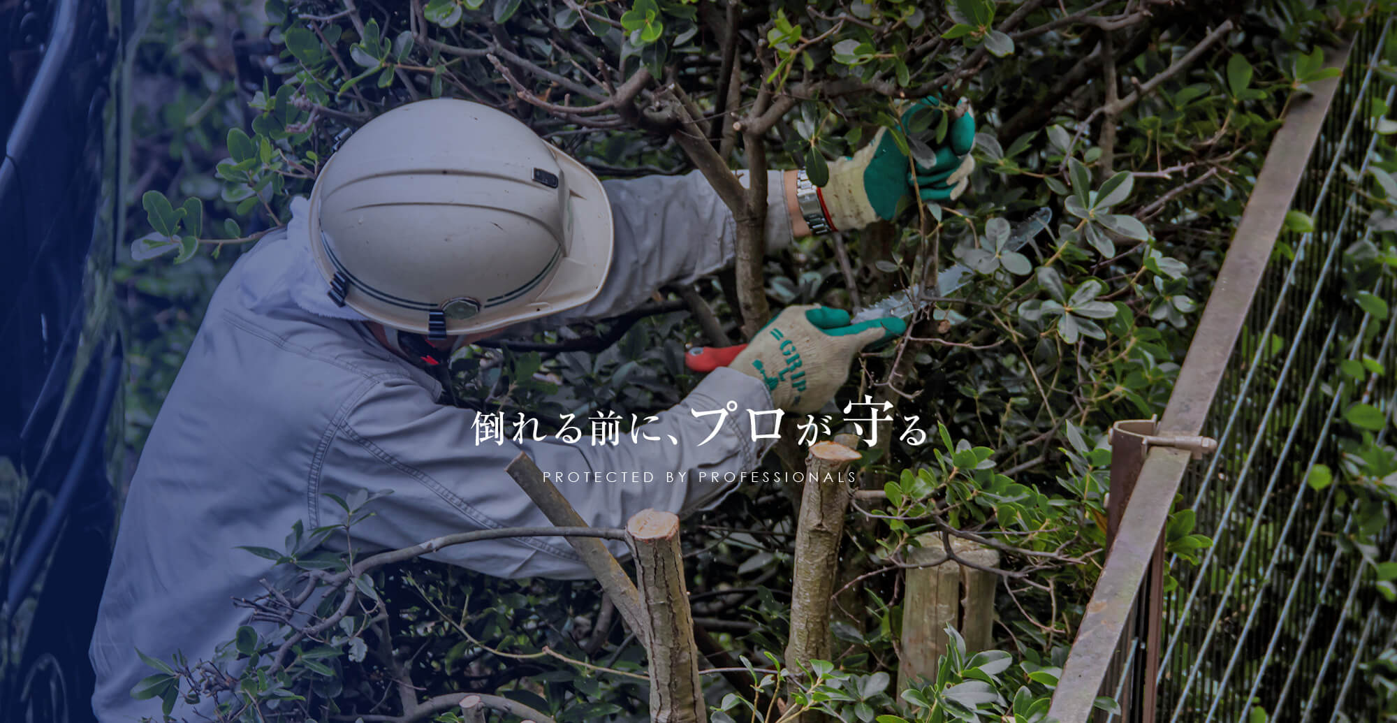 有限会社yamaru