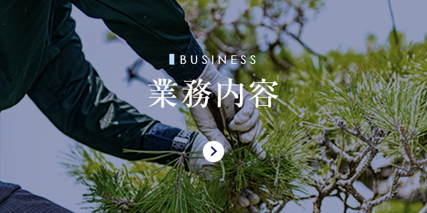 bnrhalf_business